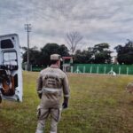 Especialistas defendem avanço mais rápido da vacinação contra a gripe durante o inverno
