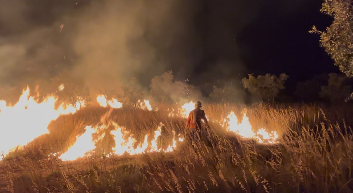 SEMAD e CBMGO realizam aceiros de alargamento com uso do fogo em parques estaduais para reforçar a prevenção aos incêndios florestais
